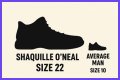 Discover Shaq's Gigantic Shoe Size